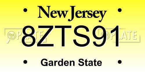 8ZTS91 New Jersey License Plate