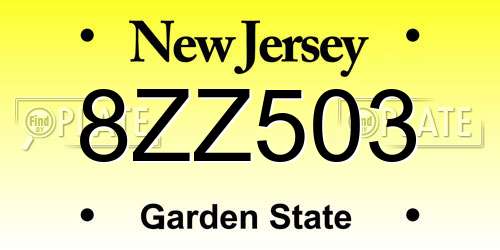 8ZZ503 New Jersey License Plate