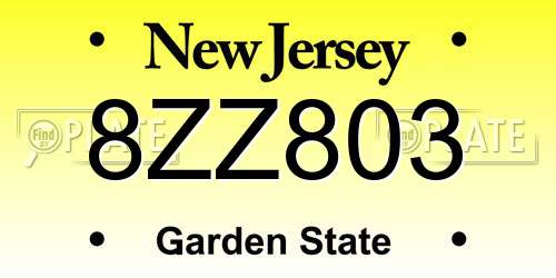 8ZZ803 New Jersey License Plate