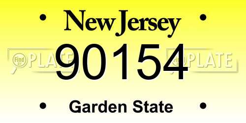 90154 New Jersey License Plate