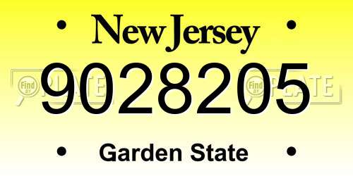 9028205 New Jersey License Plate