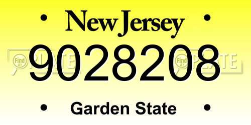 9028208 New Jersey License Plate