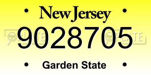 9028705 New Jersey License Plate