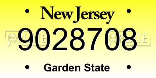 9028708 New Jersey License Plate