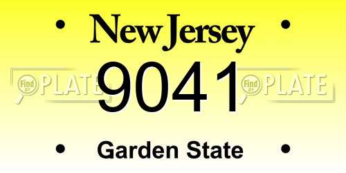9041 New Jersey License Plate