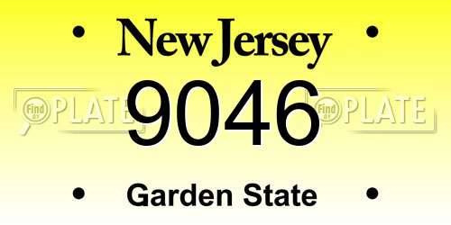 9046 New Jersey License Plate