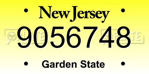 9056748 New Jersey License Plate