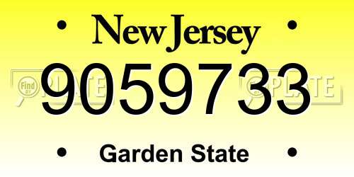 9059733 New Jersey License Plate