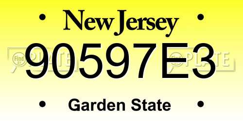 90597E3 New Jersey License Plate
