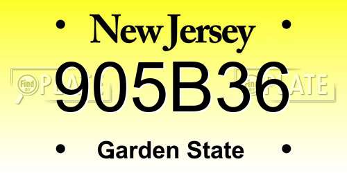 905B36 New Jersey License Plate