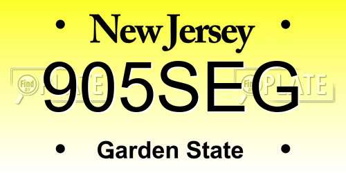 905SEG New Jersey License Plate