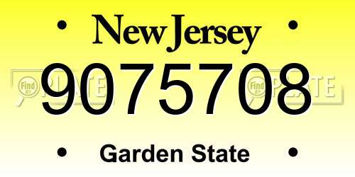 9075708 New Jersey License Plate