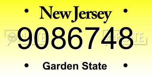 9086748 New Jersey License Plate