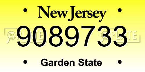 9089733 New Jersey License Plate