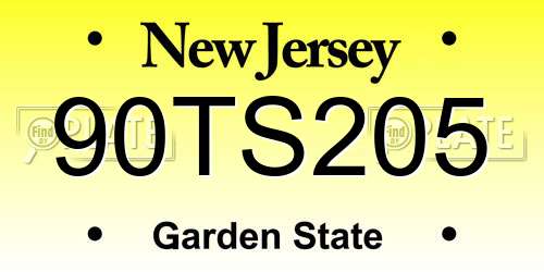 90TS205 New Jersey License Plate