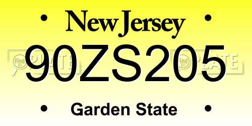 90ZS205 New Jersey License Plate