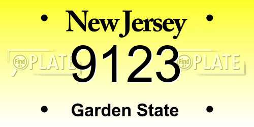 9123 New Jersey License Plate
