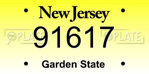 91617 New Jersey License Plate