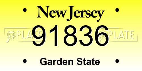 91836 New Jersey License Plate