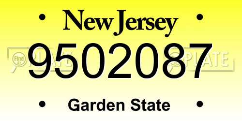 9502087 New Jersey License Plate
