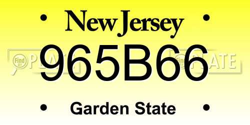 965B66 New Jersey License Plate