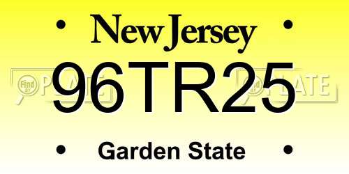 96TR25 New Jersey License Plate