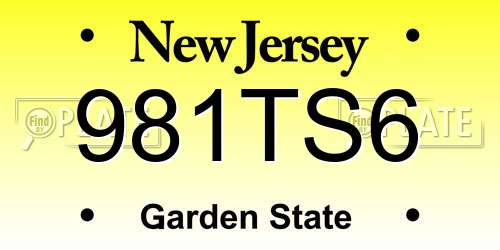 981TS6 New Jersey License Plate