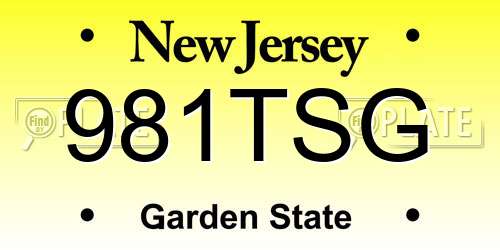 981TSG New Jersey License Plate