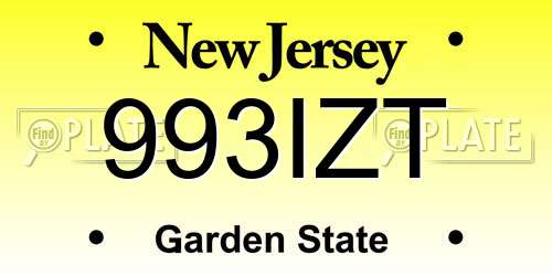 993IZT New Jersey License Plate
