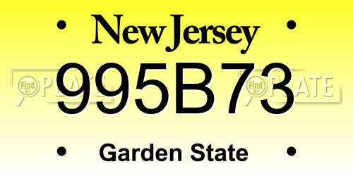 995B73 New Jersey License Plate