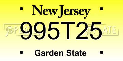 995T25 New Jersey License Plate