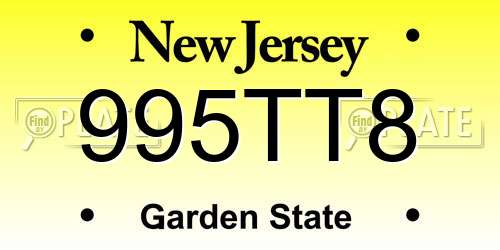 995TT8 New Jersey License Plate