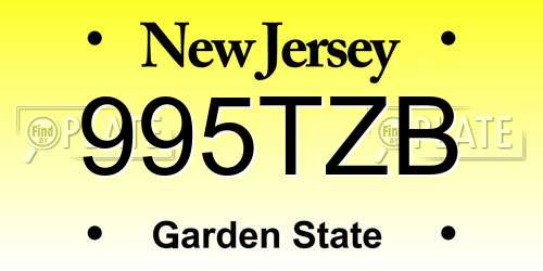 995TZB New Jersey License Plate