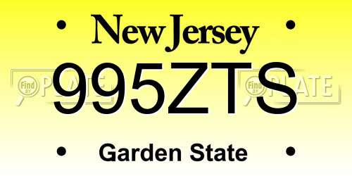 995ZTS New Jersey License Plate