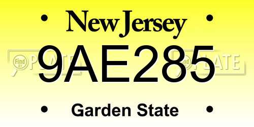 9AE285 New Jersey License Plate