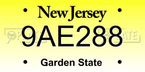 9AE288 New Jersey License Plate