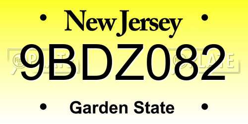 9BDZ082 New Jersey License Plate