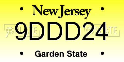 9DDD24 New Jersey License Plate