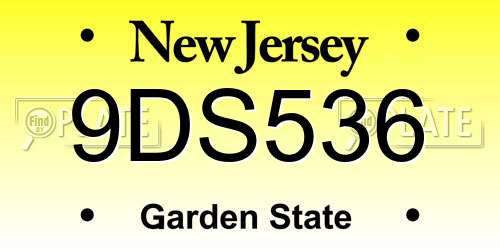 9DS536 New Jersey License Plate