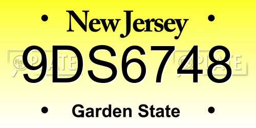 9DS6748 New Jersey License Plate