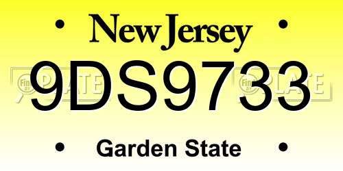 9DS9733 New Jersey License Plate