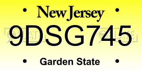9DSG745 New Jersey License Plate