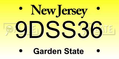 9DSS36 New Jersey License Plate