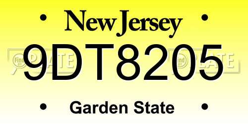 9DT8205 New Jersey License Plate