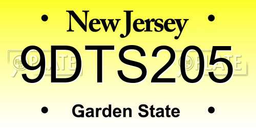 9DTS205 New Jersey License Plate