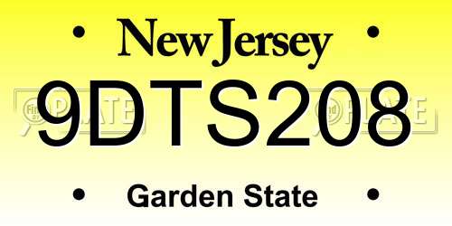 9DTS208 New Jersey License Plate
