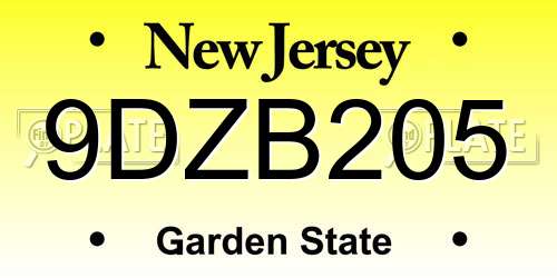 9DZB205 New Jersey License Plate