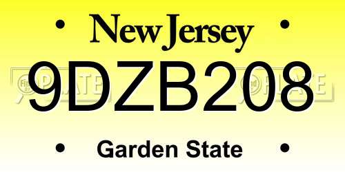9DZB208 New Jersey License Plate