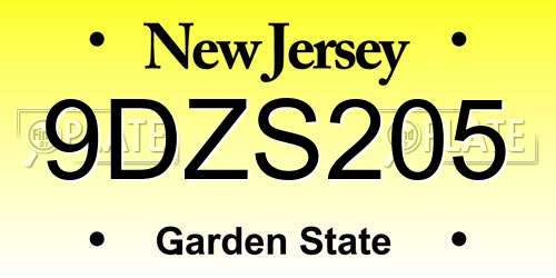 9DZS205 New Jersey License Plate