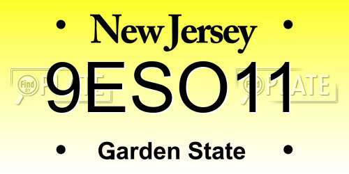 9ESO11 New Jersey License Plate